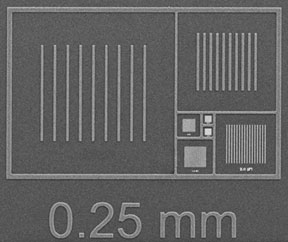 PELCO CDMS Magnification Standard